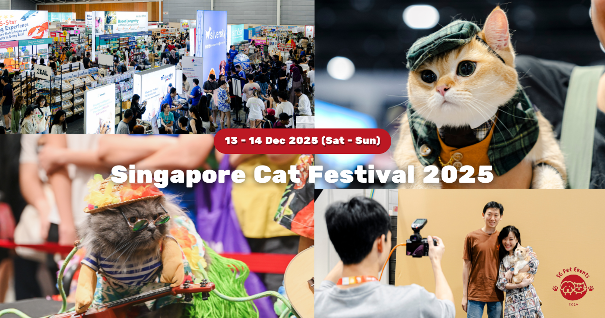 Singapore Cat Festival Returns With a Festive Twist: Christmas Cat Carnival Edition