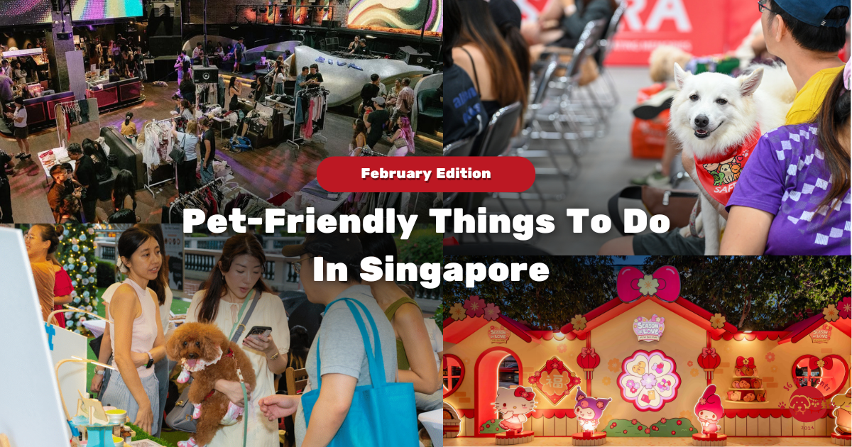 12 Pet-Friendly Things to Do in Singapore This February 2026