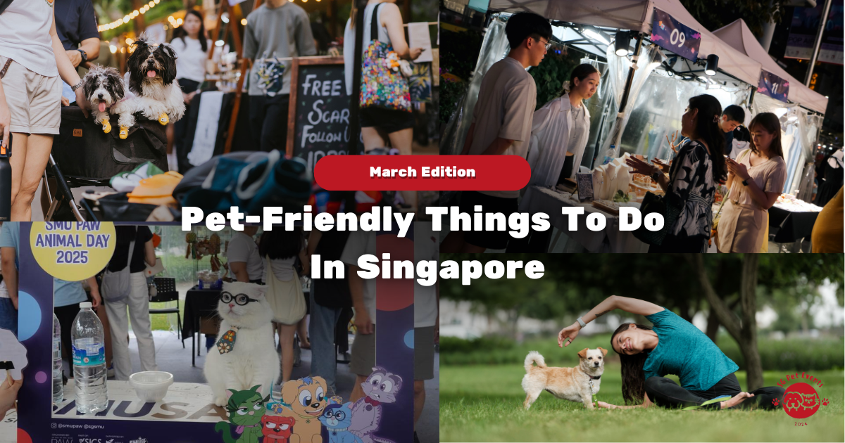 13 Pet-Friendly Things to Do in Singapore This March 2026