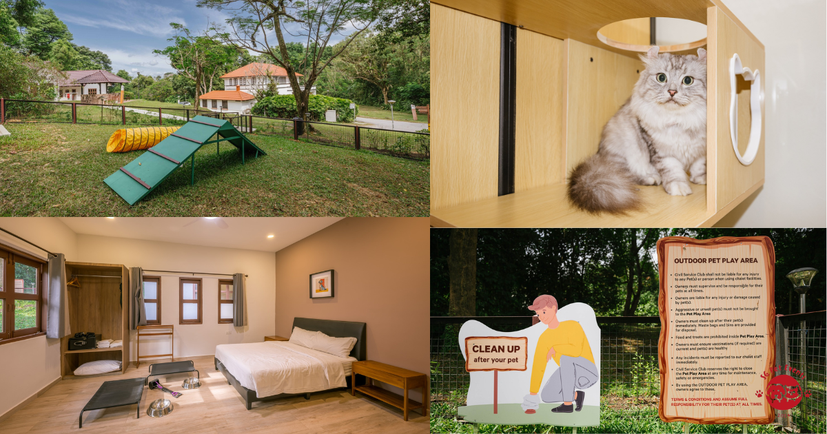 New Pet-Friendly Staycation in Singapore: Fairy Point Bungalows at CSC @ Changi II Now Welcome Pets