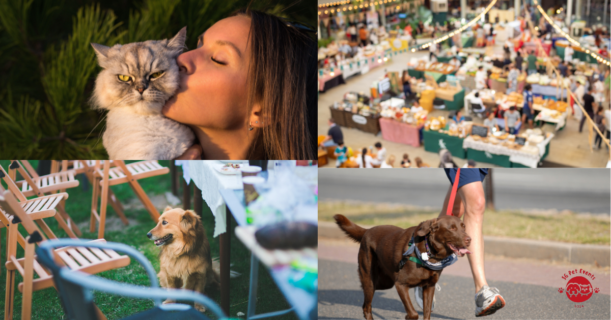 Pet-Friendly Events in Singapore This Weekend (8–10 May 2026)