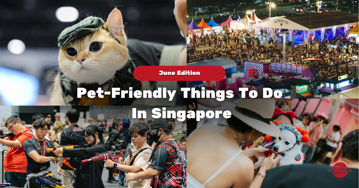 10 Pet-Friendly Things to Do in Singapore This June 2026