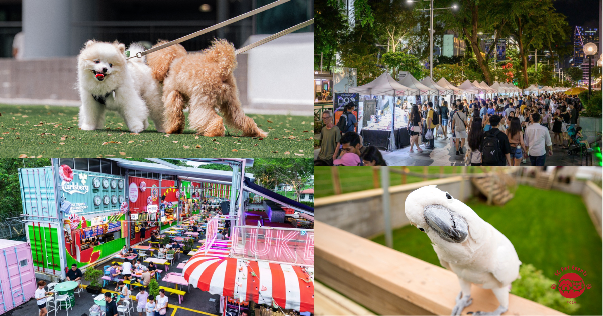 Pet-Friendly Events Happening in Singapore This Weekend (29 – 31 May 2026)