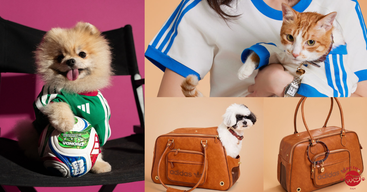 Adidas’ Viral Pet Collection Is Finally Landing In Singapore This May