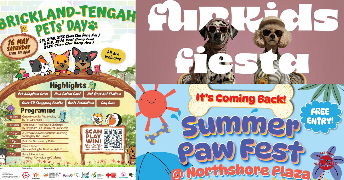 Pet-Friendly Events Happening in Singapore This Weekend (15 – 17 May 2026)