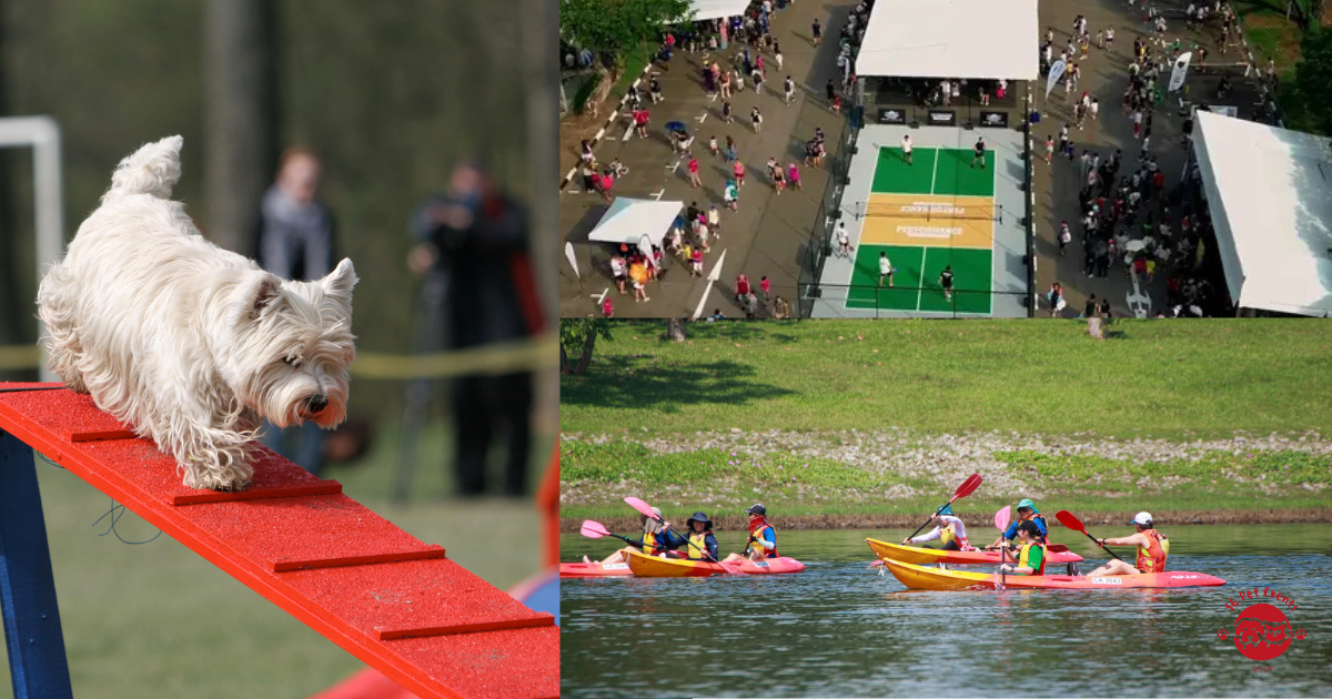 Decathlon Sports Fest 2026 Returns With 30+ Free Sports, A New Pet Obstacle Course and Family-Friendly Fun
