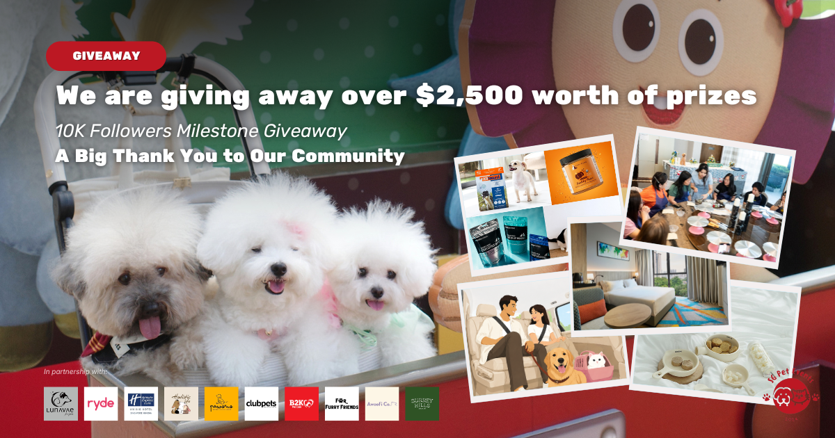 GIVEAWAY: Win a Pet-Friendly 2D1N Staycation, Festival Tickets, Pet Products & More (Over S$2,300 Worth of Prizes Up for Grabs)