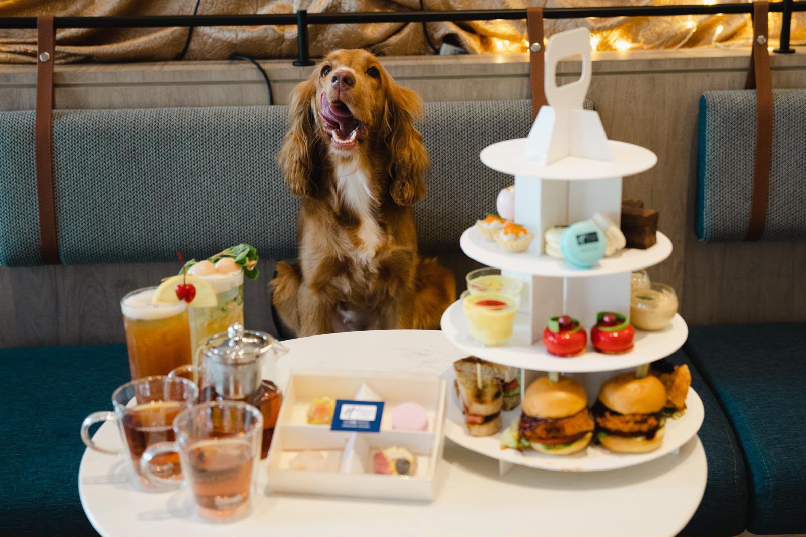 Experience The Social Paw Tea, a New Pet-Friendly Weekend High Tea at Holiday Inn Express & Suites Singapore Novena