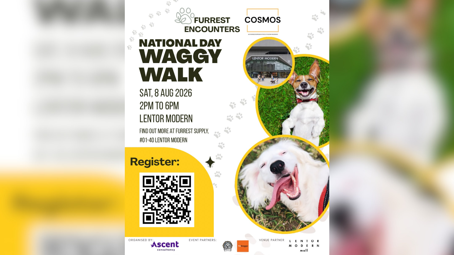 National Day Waggy Walk