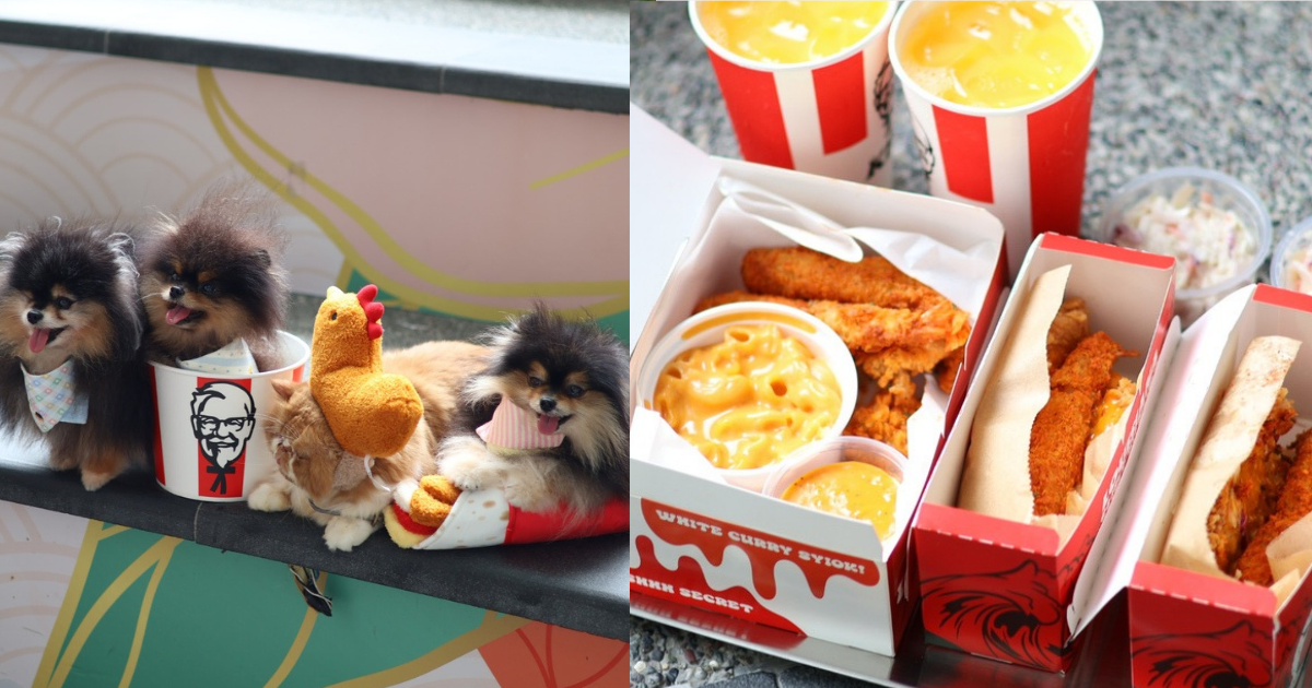 KFC Singapore Launches Pet Merchandise Collection and Louisiana Surf N’ Turf Menu