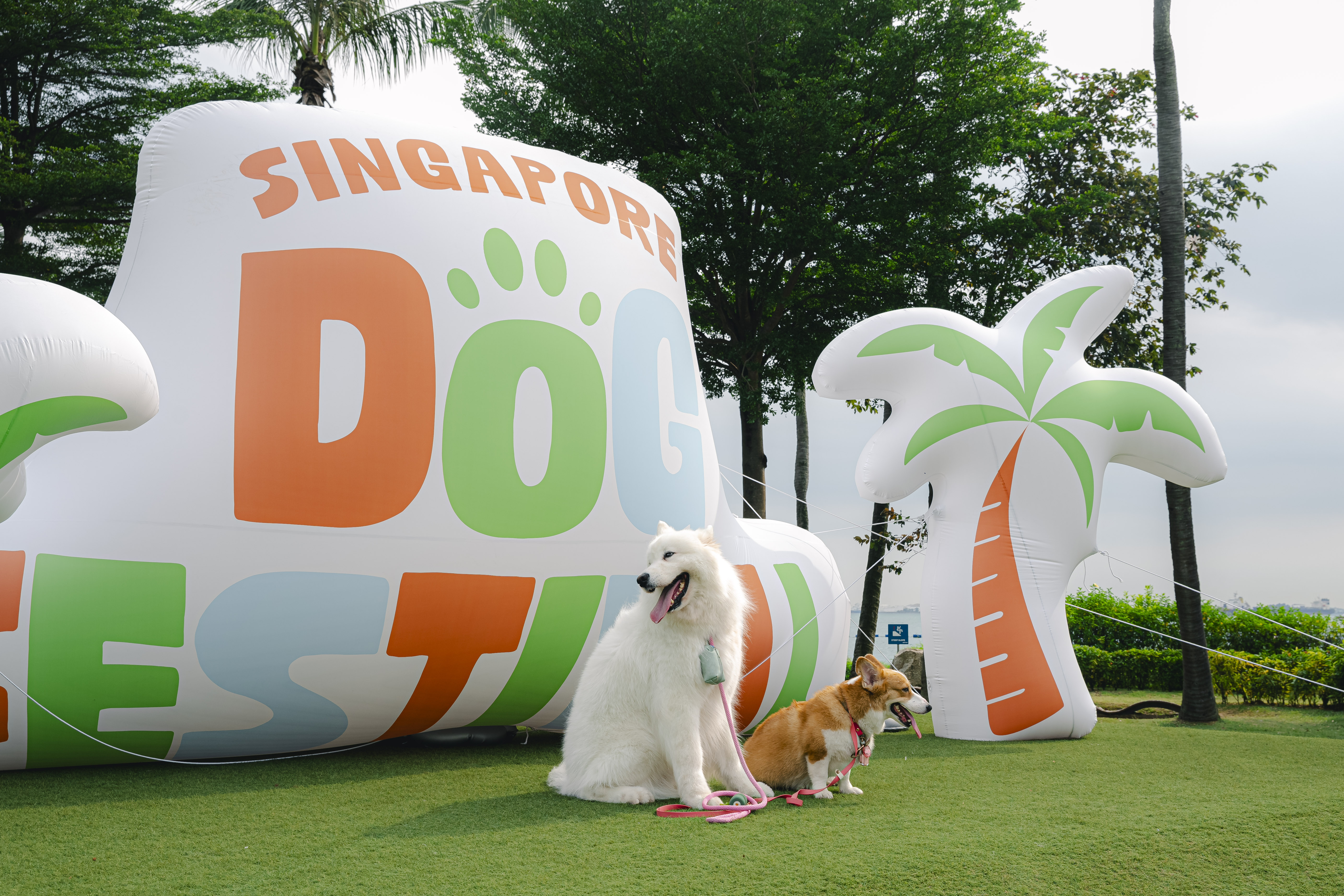 Singapore Dog Festival 2026 Returns to Sentosa With a Reimagined Dog First Experience